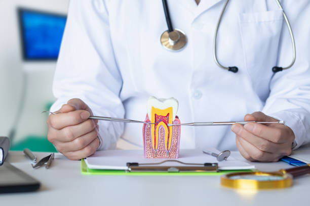 Best Emergency Tooth Extraction in Mangonia Park, FL